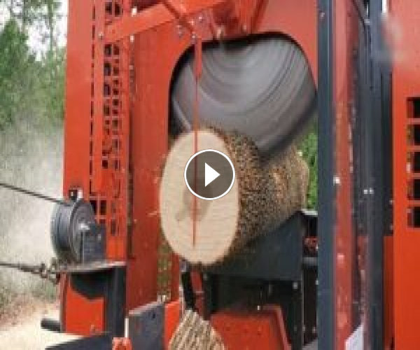 Amazing Firewood Processor and Machine Operate at High Level   Incredible Wood Processing Machines