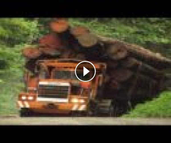 Extreme Dangerous Biggest Wood Logging Truck Operator Skill, Amazing Heavy Equipment Truck Driving
